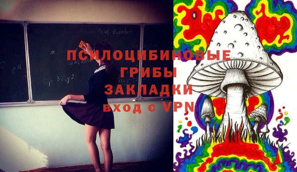 твердый Кинешма