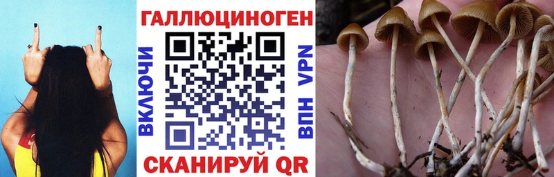 Галлюциногенные грибы Cubensis  Кимры 