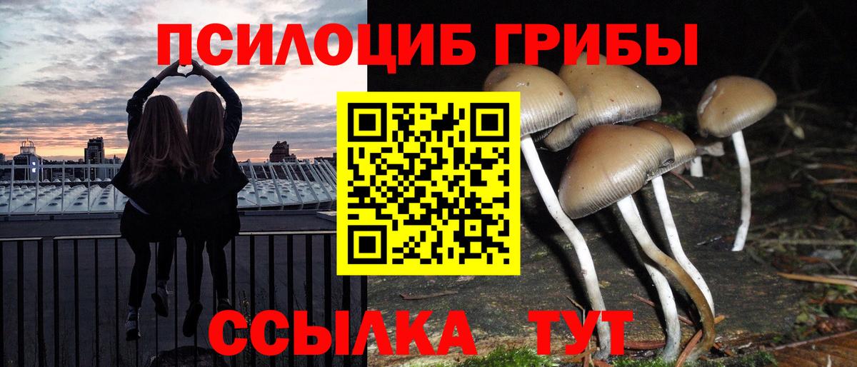 купить закладку  Вход с VPN  Псилоцибиновые грибы MAGIC MUSHROOMS  Кимры  Галлюциногенные грибы Psilocybine cubensis 